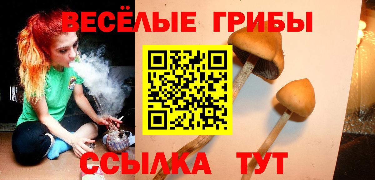 Псилоцибиновые грибы Psilocybine cubensis  Вход с VPN  Кирово-Чепецк 